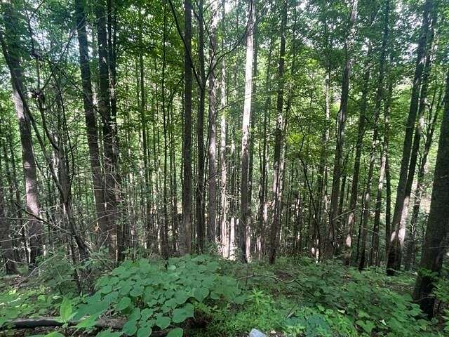 0.99 Acres of Residential Land for Sale in Sevierville, Tennessee