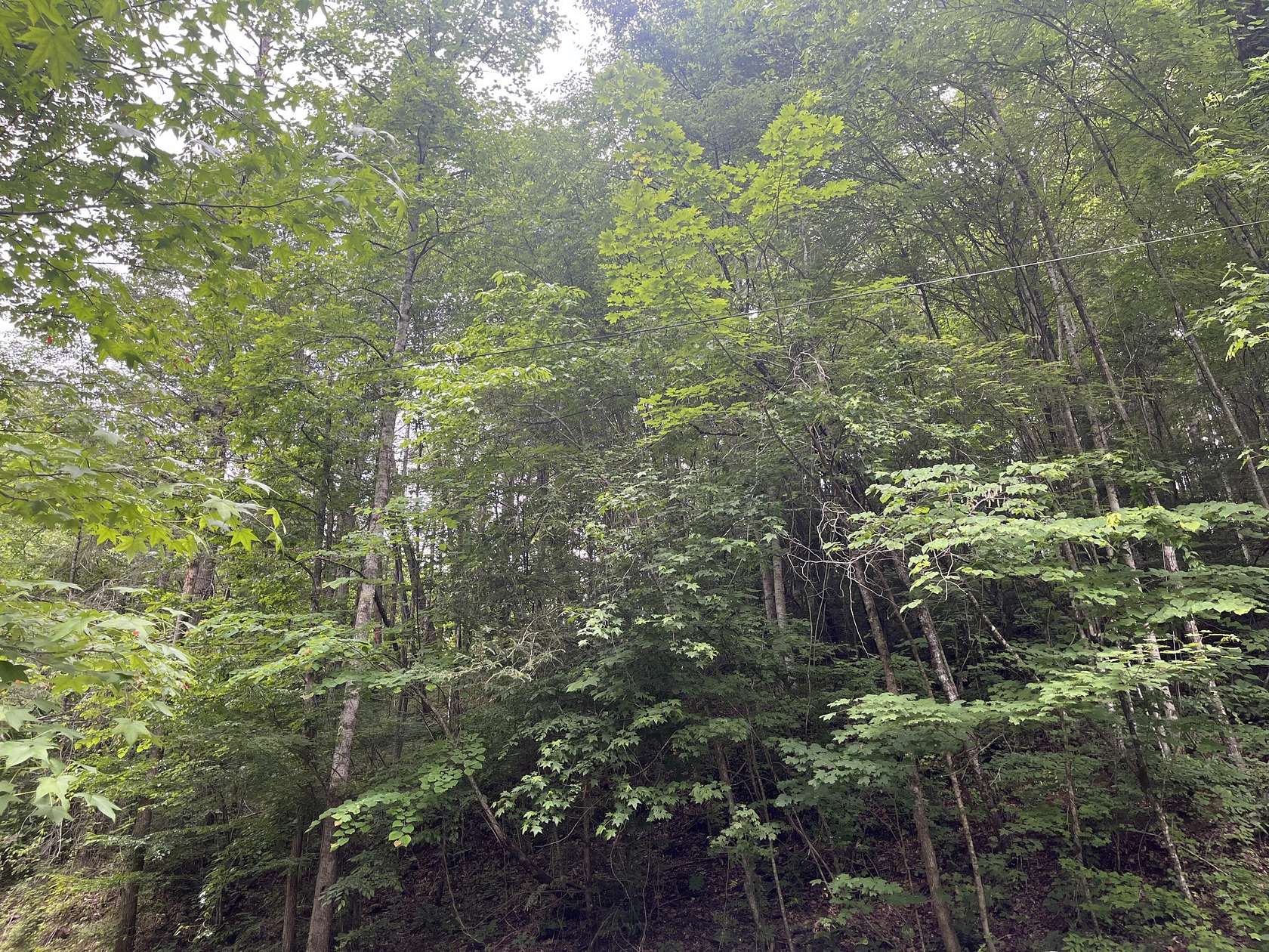 1.2 Acres of Residential Land for Sale in Sevierville, Tennessee