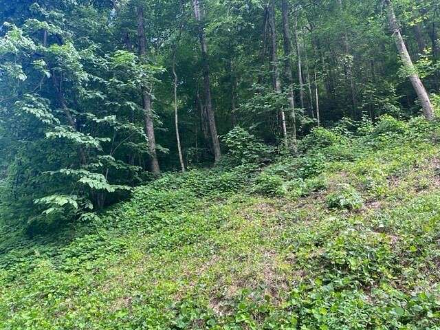 0.67 Acres of Residential Land for Sale in Sevierville, Tennessee