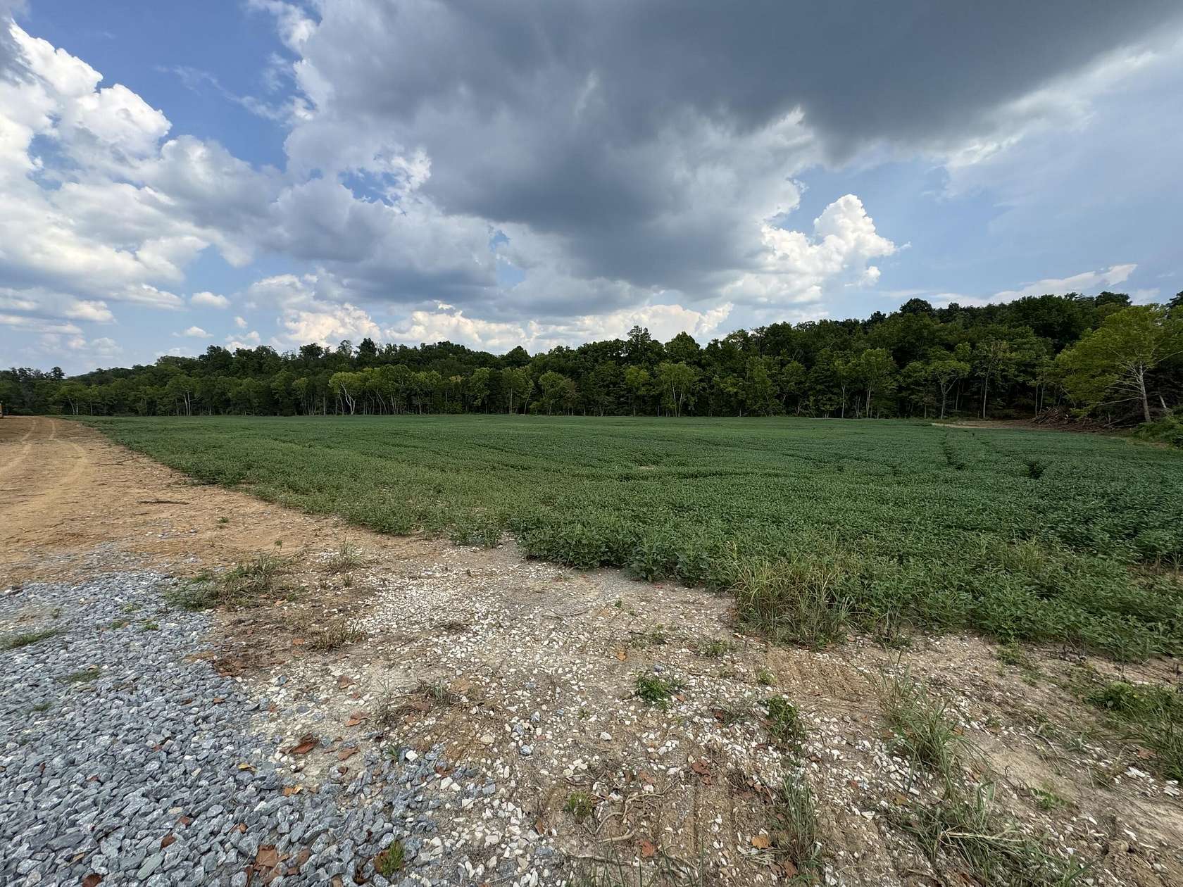 23 Acres of Land for Sale in Hillsboro, Kentucky