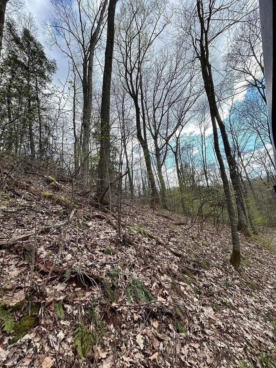 1 Acre of Residential Land for Sale in Independence, West Virginia