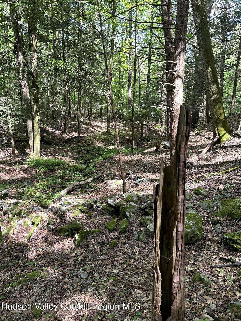 2.07 Acres of Residential Land for Sale in Napanoch, New York