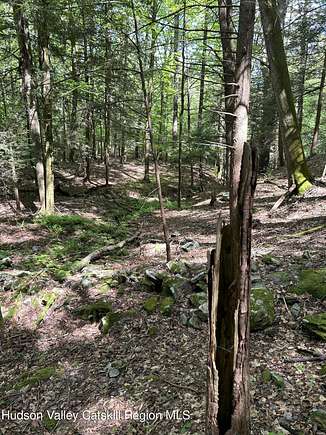 2.1 Acres of Residential Land for Sale in Napanoch, New York