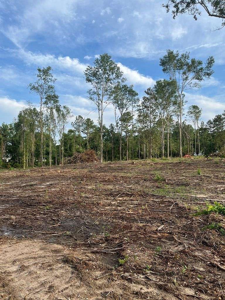 15.5 Acres of Land for Sale in Poplarville, Mississippi