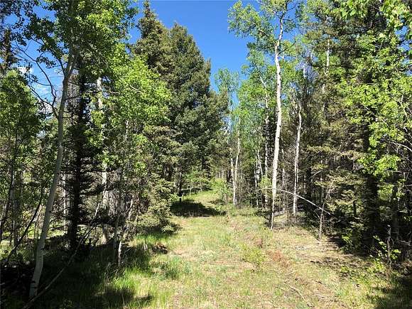 2.7 Acres of Residential Land for Sale in Guffey, Colorado