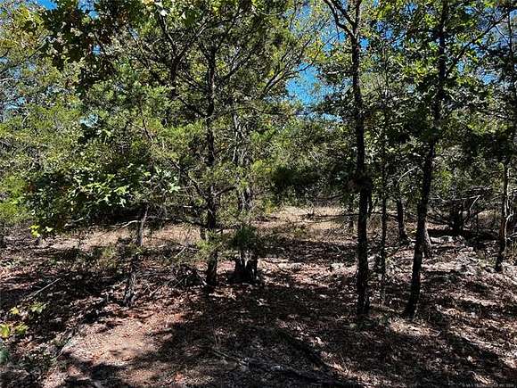 68.846 Acres of Recreational Land for Sale in Moyers, Oklahoma