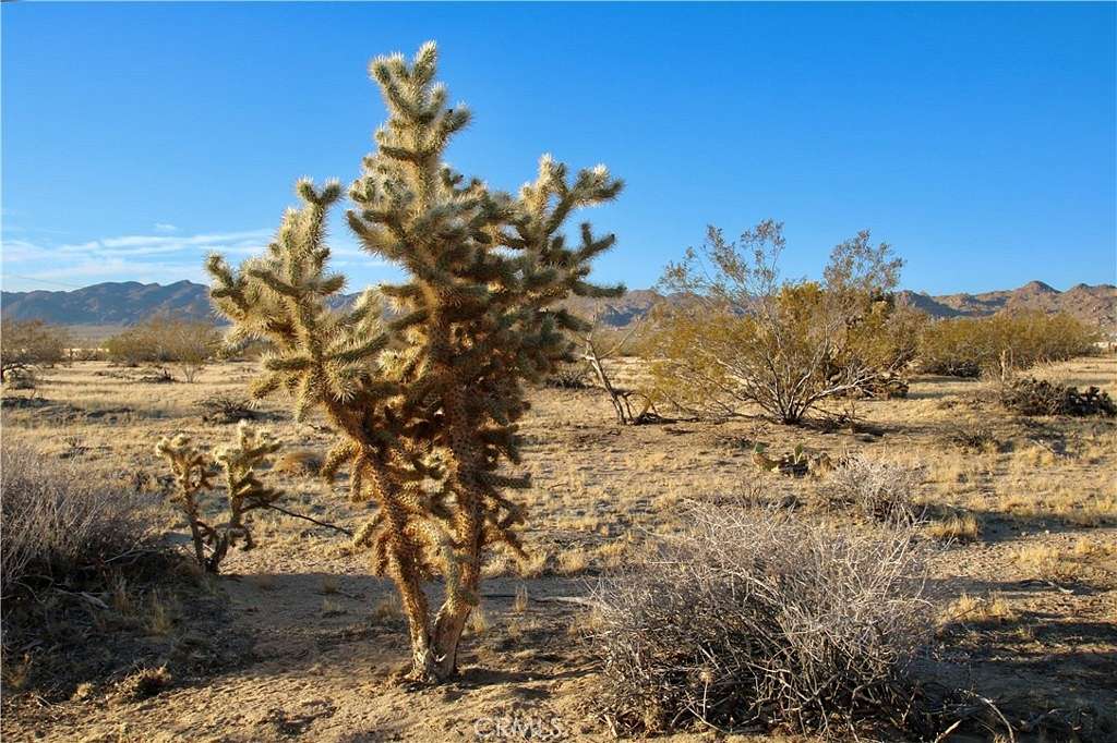 3.25 Acres of Residential Land for Sale in Joshua Tree, California