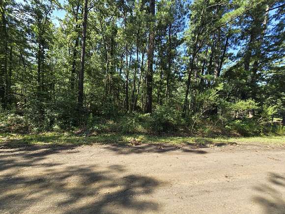 0.3 Acres of Residential Land for Sale in Broaddus, Texas