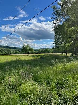 15.98 Acres of Land for Sale in Franklin, New York