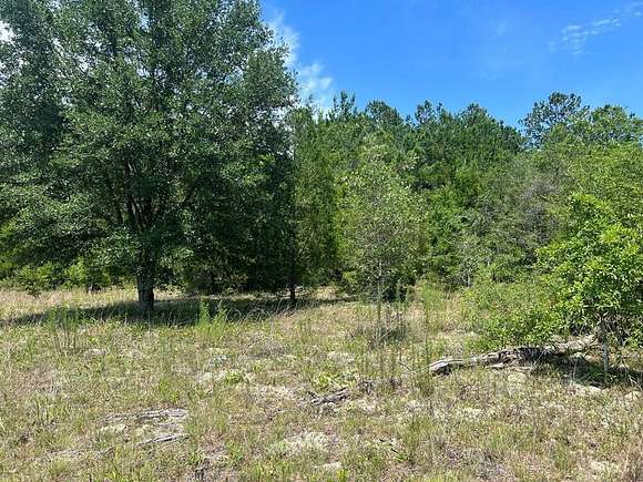 1.17 Acres of Residential Land for Sale in Alford, Florida