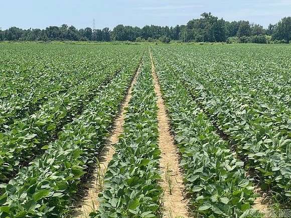 2,297 Acres of Agricultural Land for Sale in Marvell, Arkansas