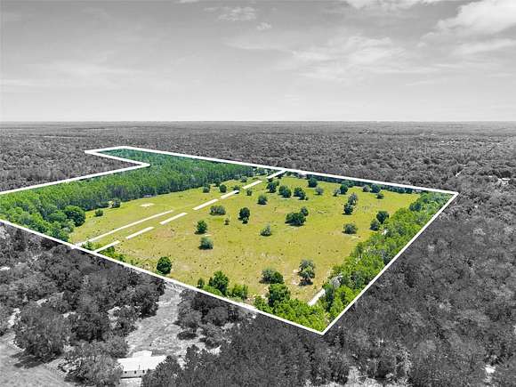 46.1 Acres of Agricultural Land for Sale in Brooksville, Florida