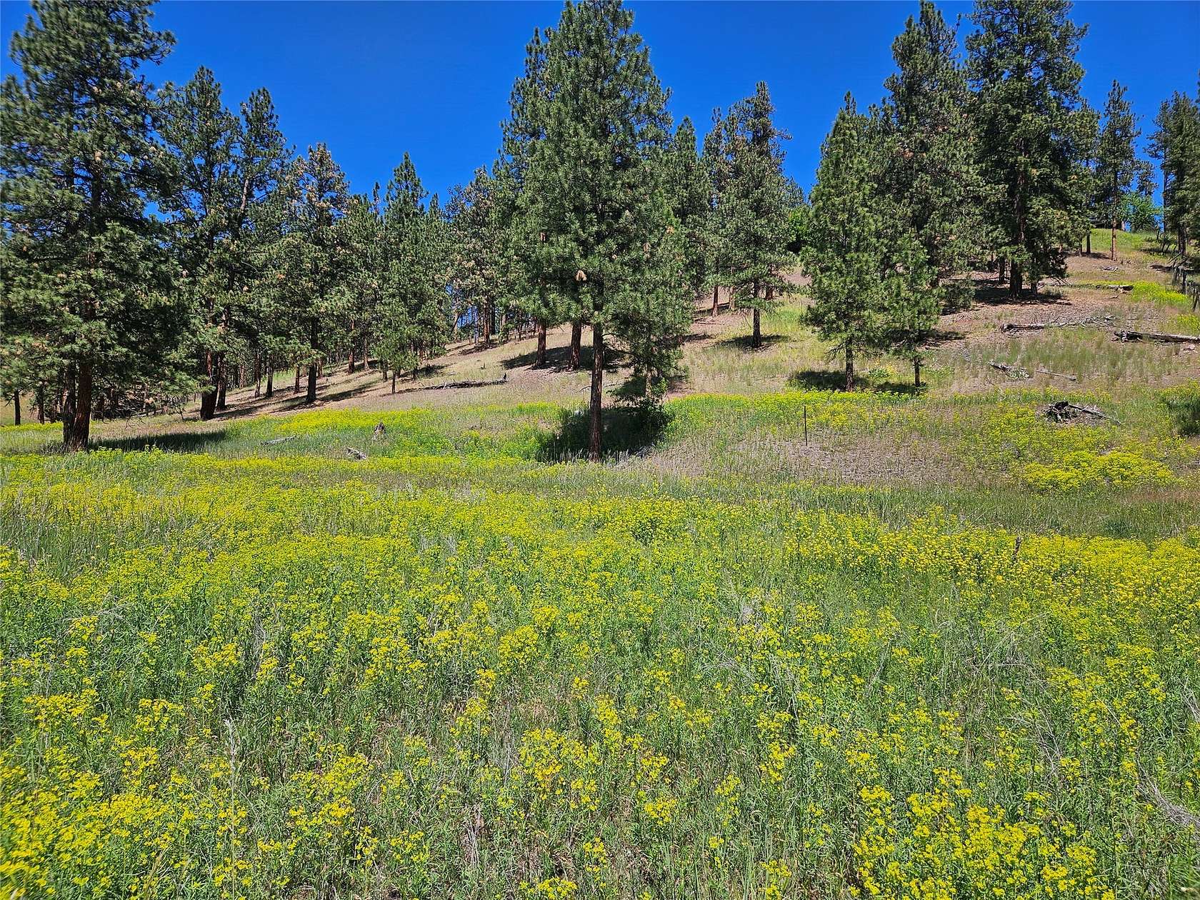 2.2 Acres of Residential Land for Sale in Missoula, Montana