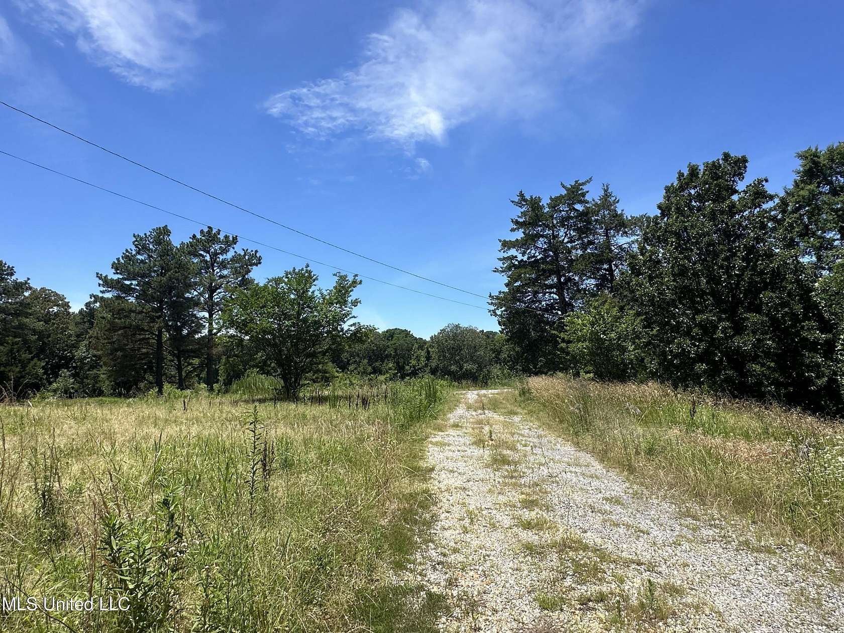 7 Acres of Residential Land for Sale in Coldwater, Mississippi