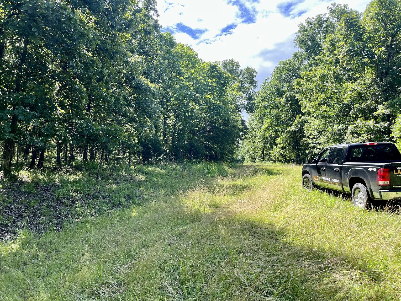 4.9 Acres of Land for Sale in Edwards, Missouri