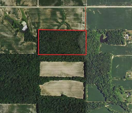 20 Acres of Recreational Land & Farm for Sale in Sumner, Illinois