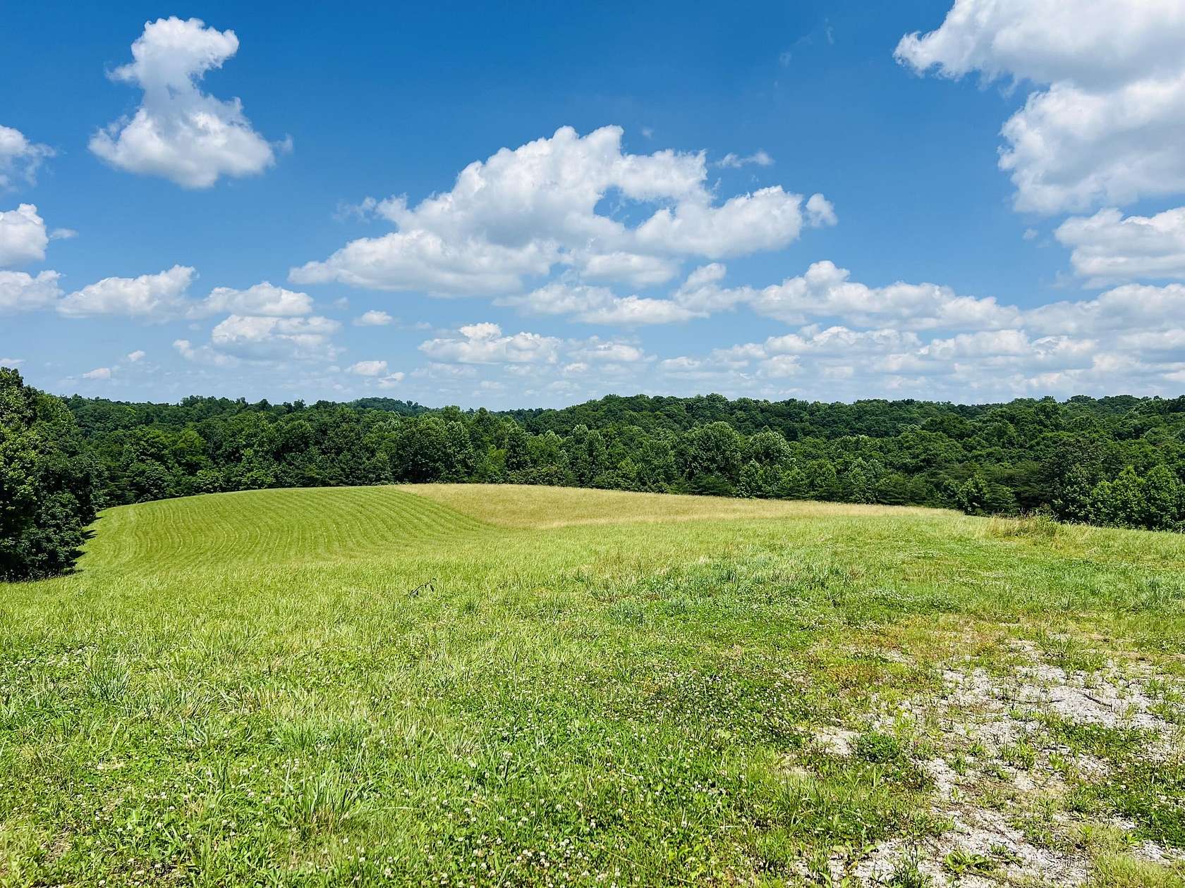 17.05 Acres of Land for Sale in Jabez, Kentucky