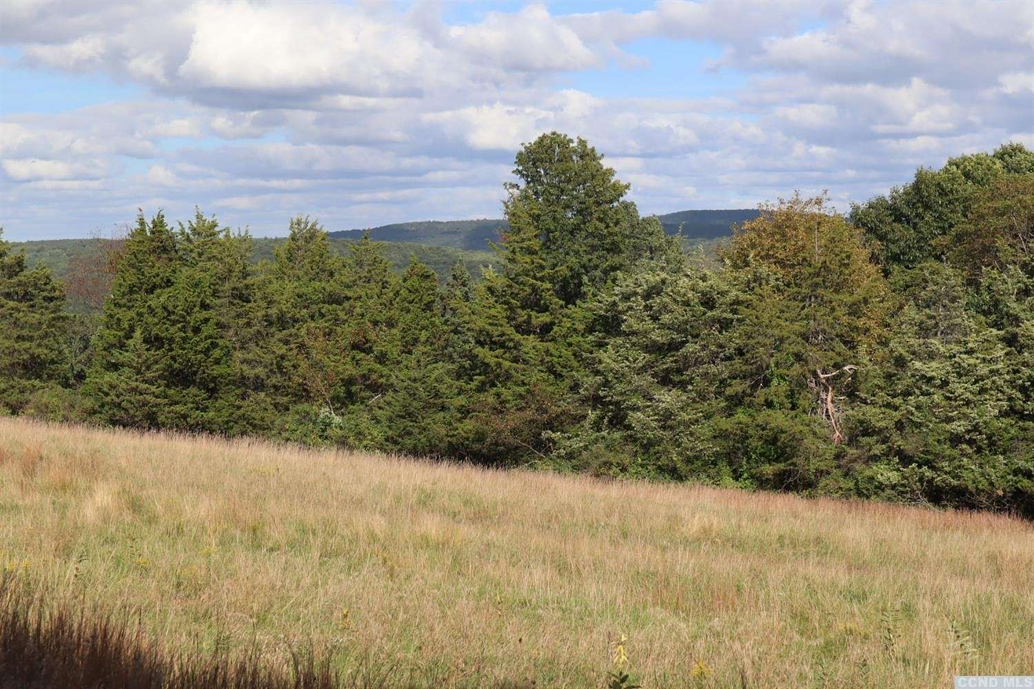 19 Acres of Agricultural Land for Sale in Milan, New York