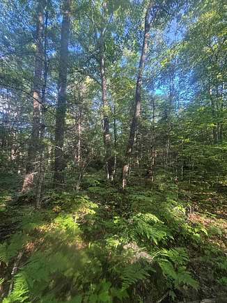 37.2 Acres of Recreational Land for Sale in Burnham, Maine