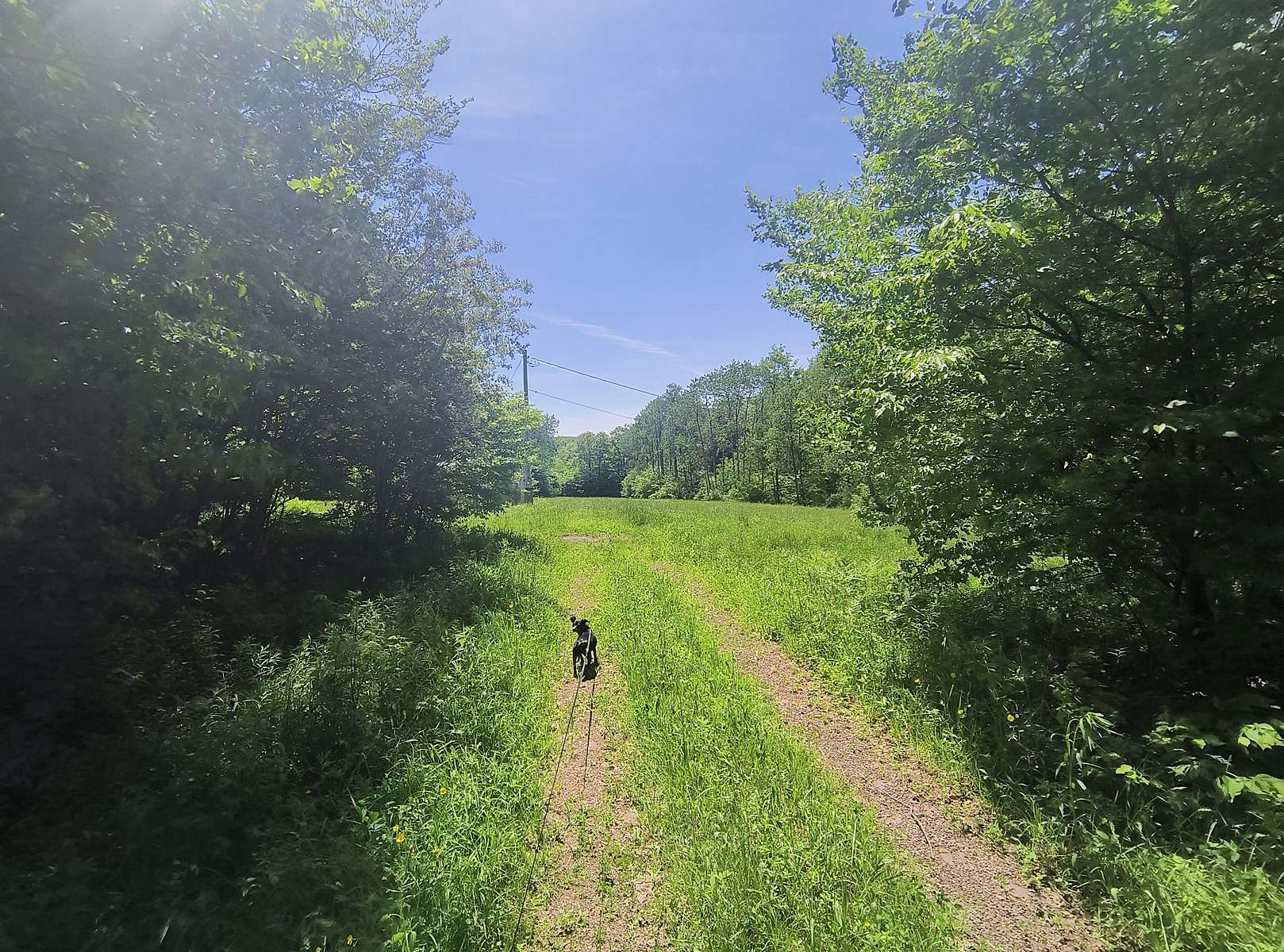 48 Acres of Recreational Land with Home for Sale in Roscoe, New York