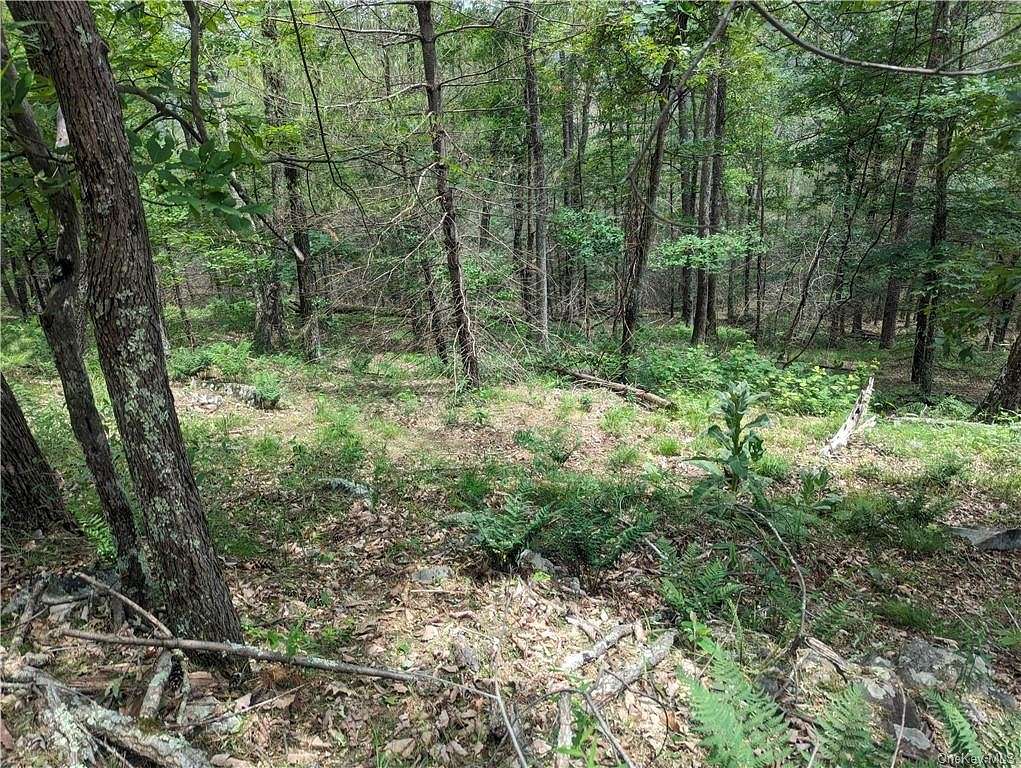 4 Acres of Land for Sale in Mamakating Town, New York