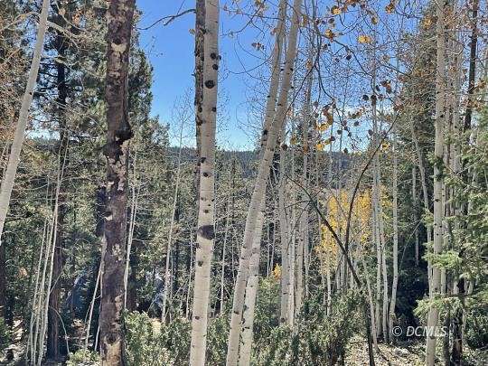 0.55 Acres of Residential Land for Sale in Duck Creek Village, Utah