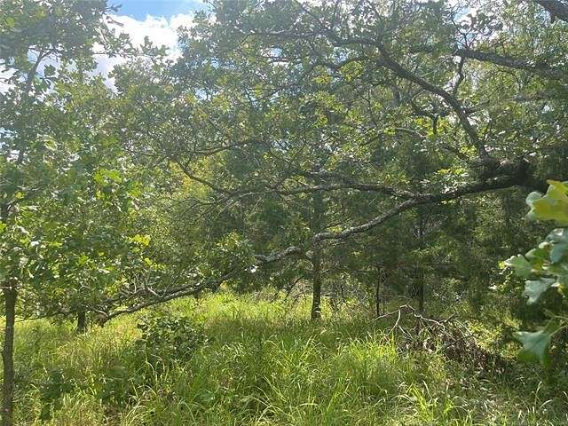 18.75 Acres of Recreational Land for Sale in Atoka, Oklahoma