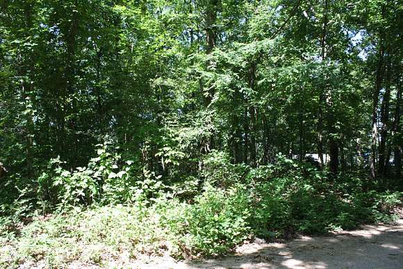 0.26 Acres of Land for Sale in Wappapello, Missouri