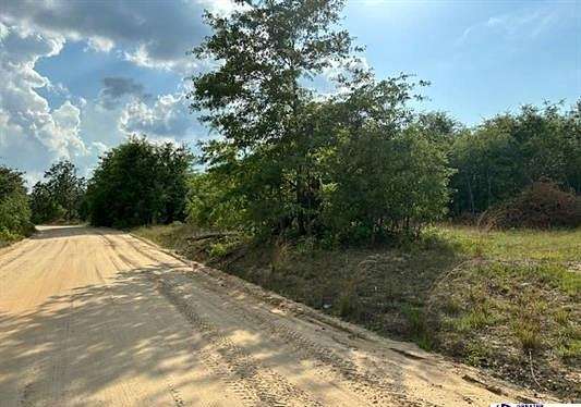 20 Acres of Land for Sale in Bennettsville, South Carolina