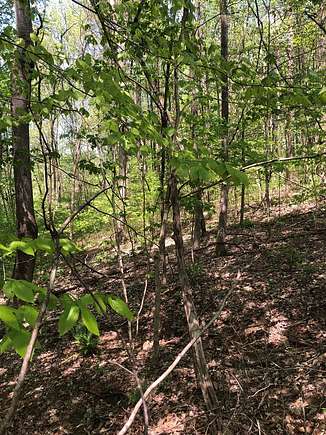 0.41 Acres of Land for Sale in Austin, Kentucky