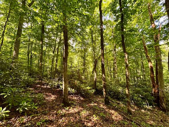 2.92 Acres of Land for Sale in Cosby, Tennessee