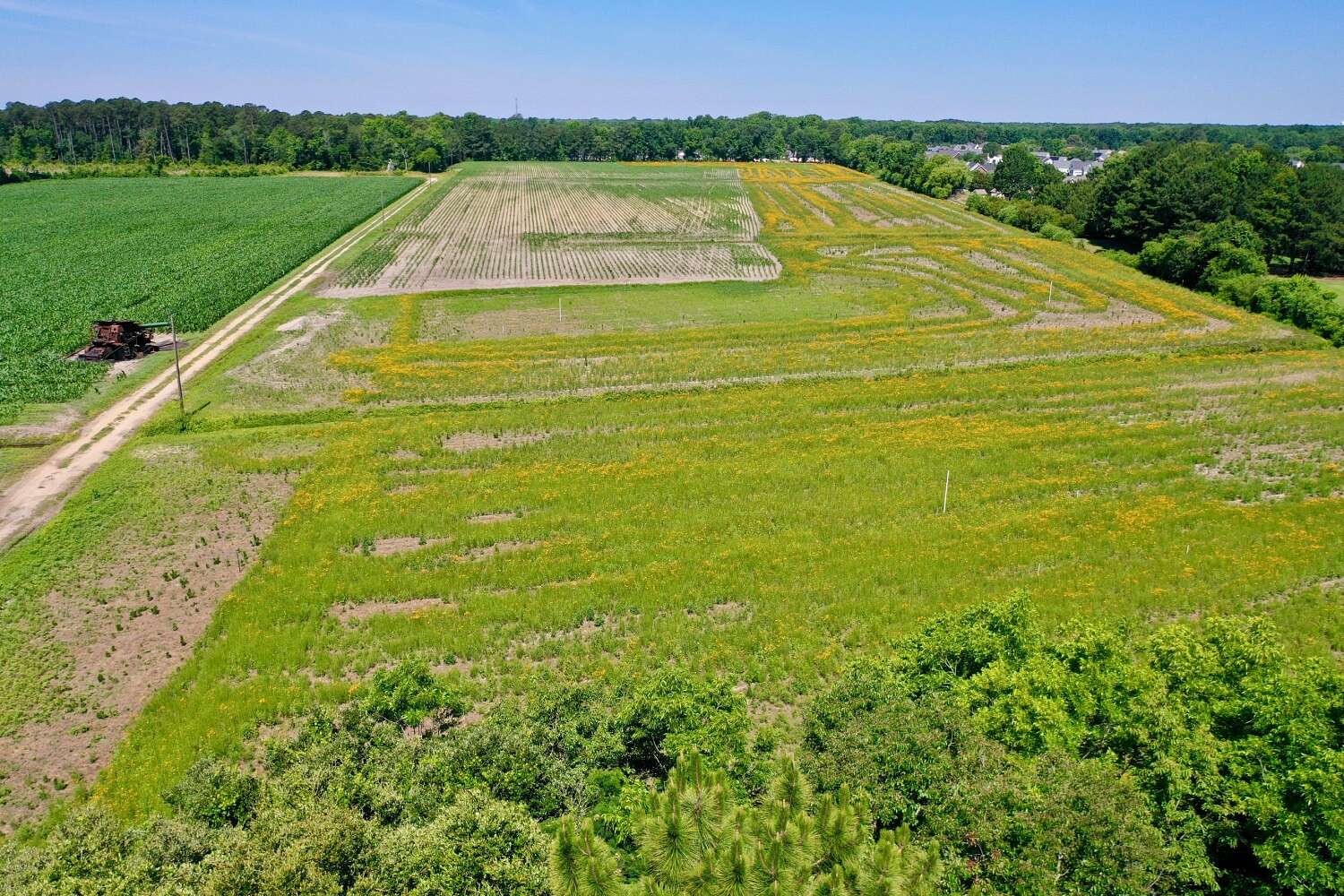 35 Acres of Land for Sale in Goldsboro, North Carolina