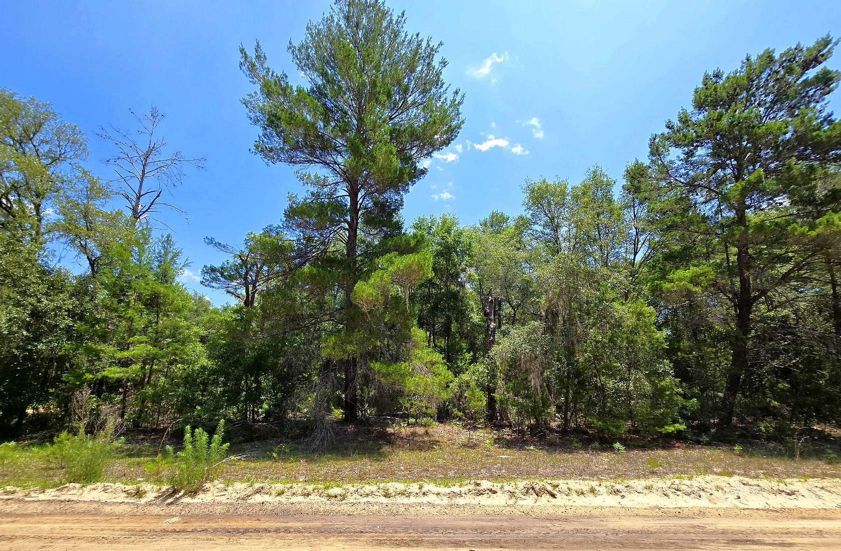 0.22 Acres of Residential Land for Sale in Interlachen, Florida