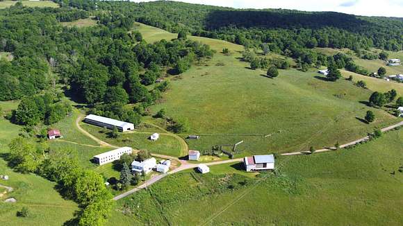 49.5 Acres of Agricultural Land with Home for Auction in Monterey, Virginia