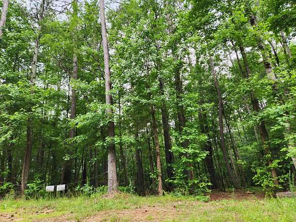 66.61 Acres of Recreational Land for Sale in Conyers, Georgia