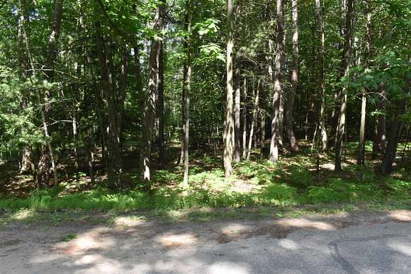 0.31 Acres of Residential Land for Sale in Gladwin, Michigan