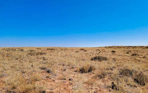 10 Acres of Recreational Land for Sale in Holbrook, Arizona