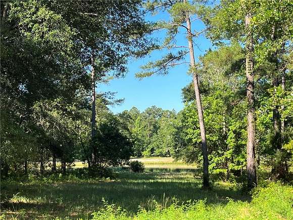0.54 Acres of Residential Land for Sale in Townsend, Georgia