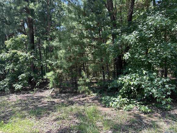 2 Acres of Land for Sale in Gilmer, Texas