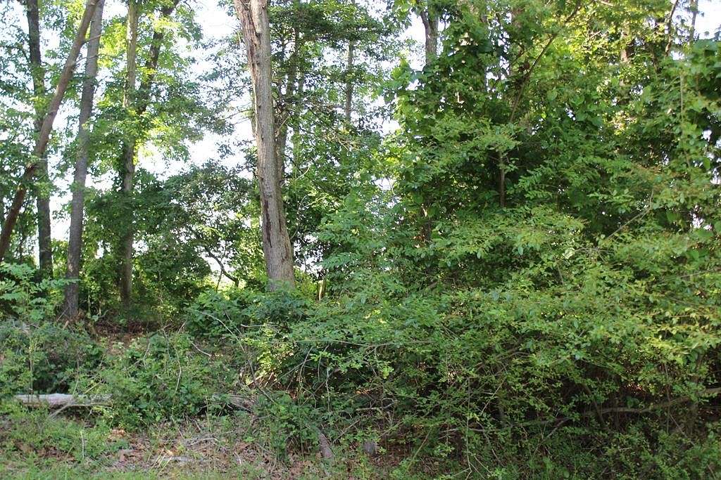 0.33 Acres of Land for Sale in Greenbackville, Virginia