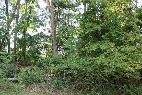 0.33 Acres of Land for Sale in Greenbackville, Virginia