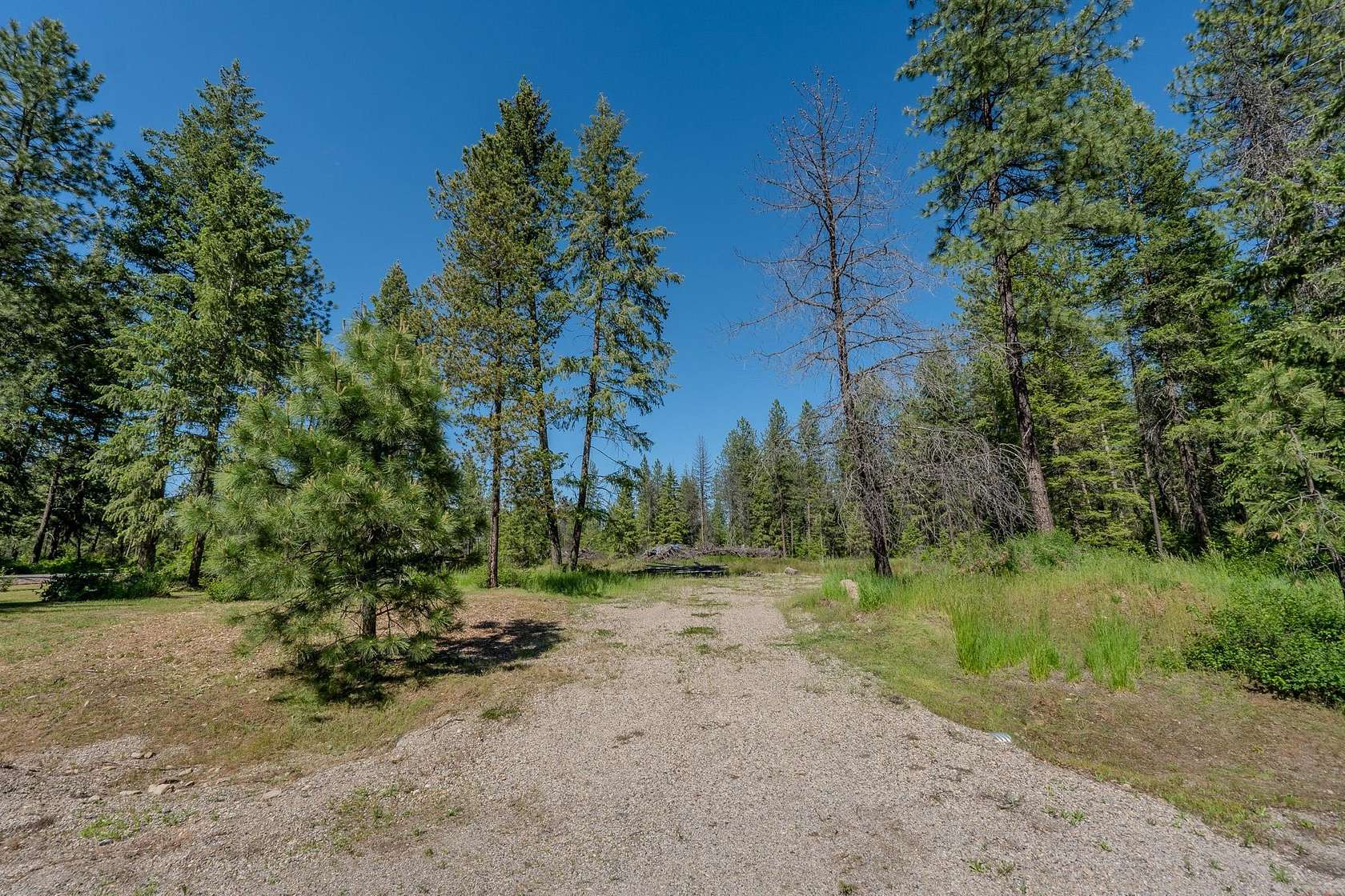 3.5 Acres of Residential Land for Sale in Loon Lake, Washington