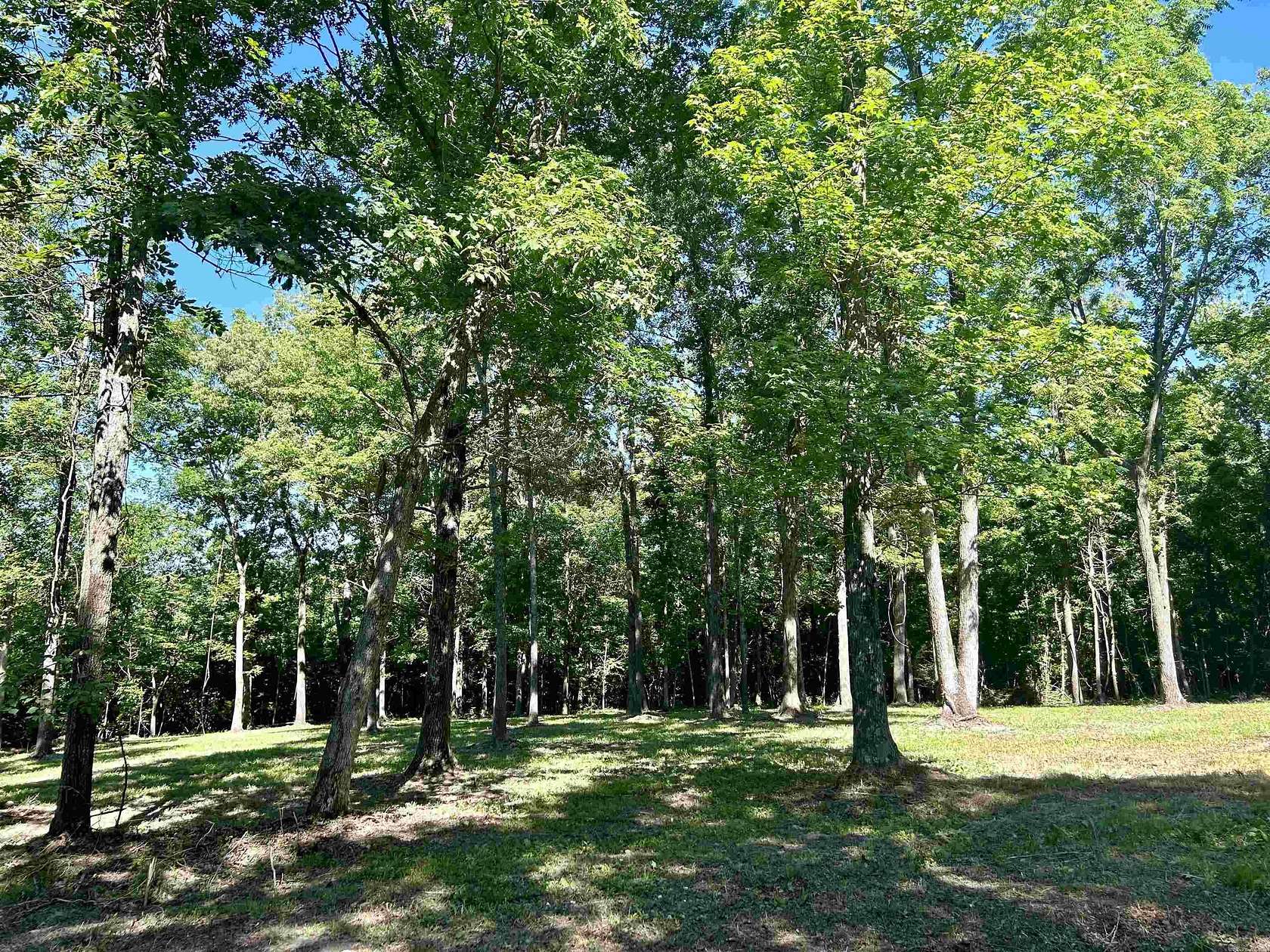 2.4 Acres of Residential Land for Sale in Mountain View, Arkansas