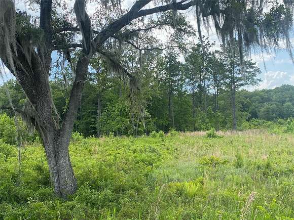 10.7 Acres of Land for Sale in Lake Butler, Florida