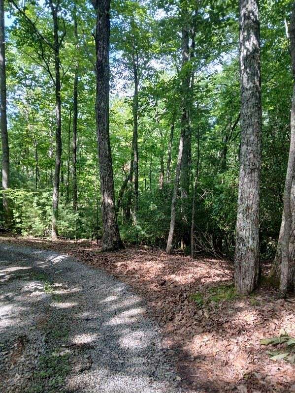 0.49 Acres of Land for Sale in Ellijay, Georgia