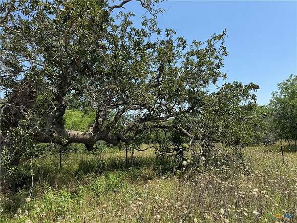 12.1 Acres of Land for Sale in Stockdale, Texas