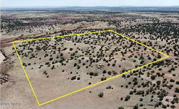 20 Acres of Recreational Land for Sale in Concho, Arizona