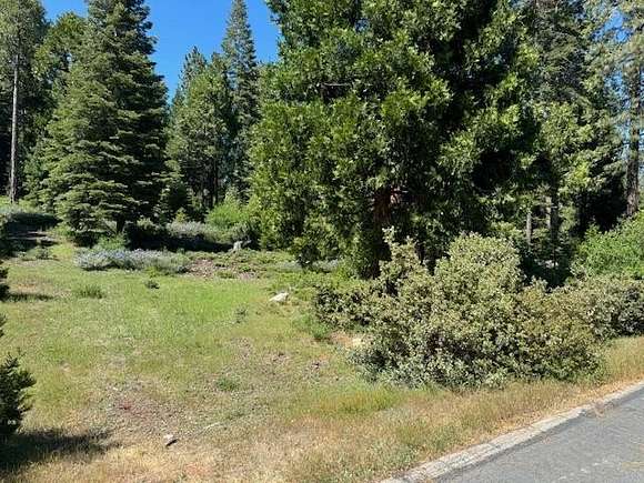 0.417 Acres of Residential Land for Sale in Shaver Lake, California