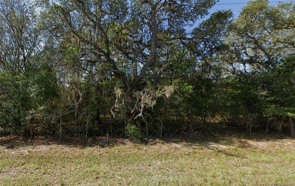 1.25 Acres of Residential Land for Sale in Hernando, Florida