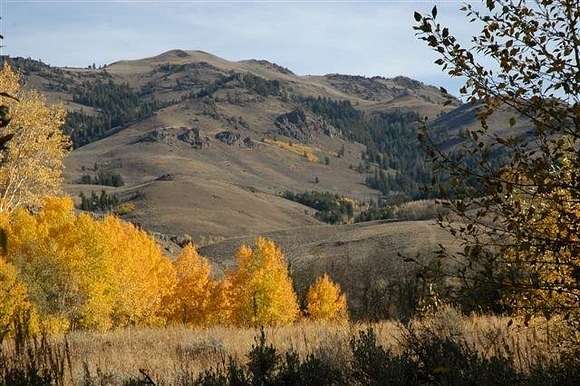 157 Acres of Improved Land for Sale in Mackay, Idaho